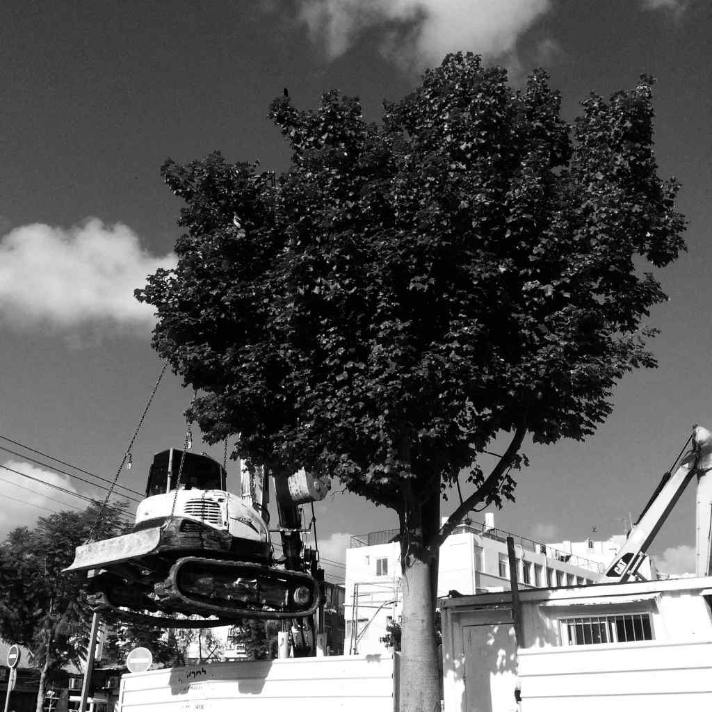 ארלנג׳ר 15, נווה שאנן, תל אביב-יפו