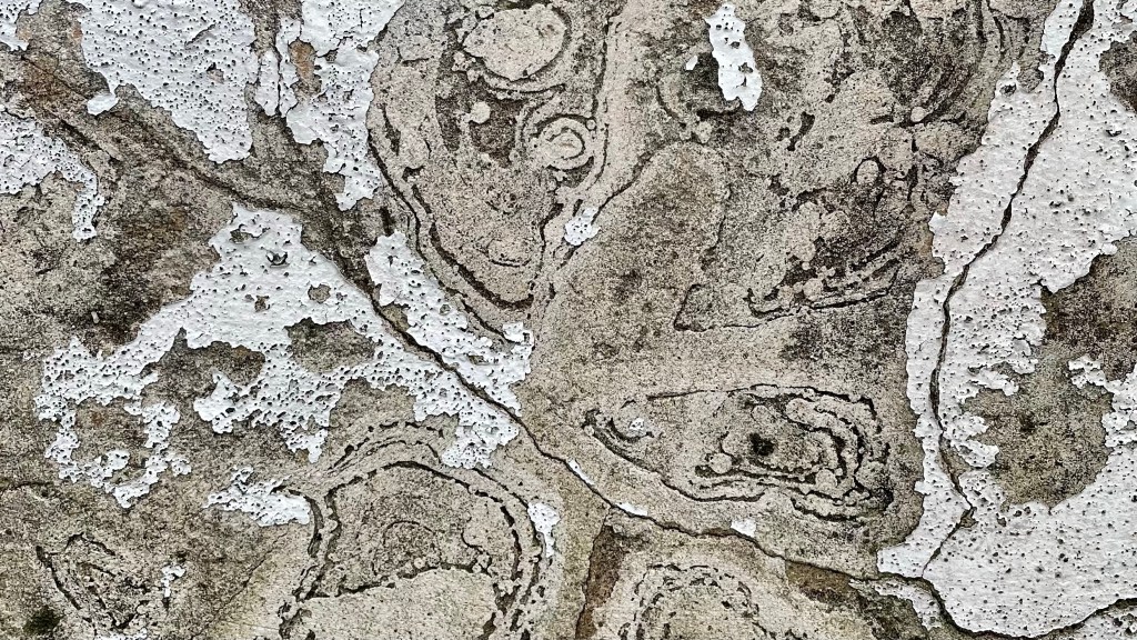 תצורות בליית טיח, קיר אבני כורכר, רחוב מסלנט 50, תל אביב-יפו